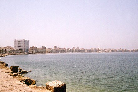 Alexandria (1)