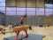 DCP_0229.JPG