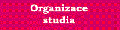 Organizace studia