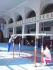 Mcp_0029.jpg