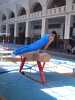 Mcp_0044.jpg