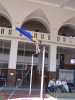 Mcp_0064.jpg