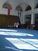 Mcp_0100.jpg