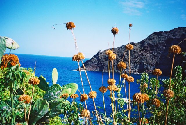 Punta Salvajes, near lighthouse on the north coast.