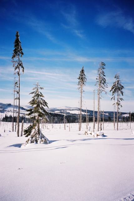 Roklan (twin-peak). January 2004.