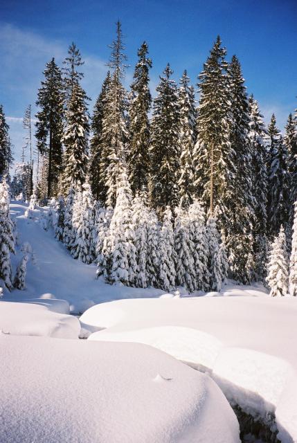 Brook near Modrava. January 2004.