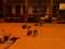 DCP_0316.JPG