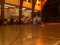 DCP_0335.JPG