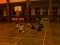 DCP_0341.JPG