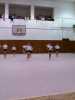 DCP_0310.JPG