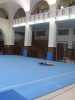 Mcp_0159.jpg