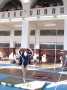 DCP_0308.JPG