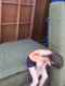 DCP_0119.jpg