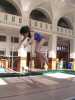 Dcp_0583.jpg
