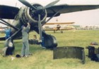 lysander