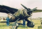 lysander