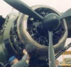 lysander