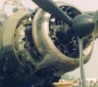 lysander