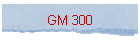 GM 300