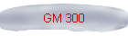 GM 300