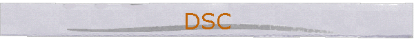 DSC