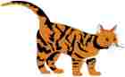 Cat1.jpg (1692 bytes)