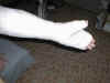 PIC00001a.jpg (33525 bytes)