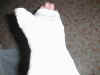 PIC00006.jpg (39072 bytes)