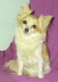 IRIS - 10 years old