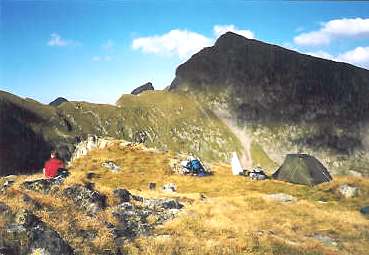 2. t�bo�i�t�