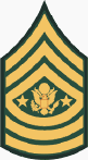 Sergeant Major of the Army, E-9