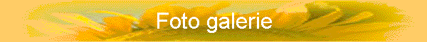 Fotogalerie