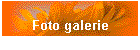 Fotogalerie