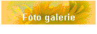 Fotogalerie