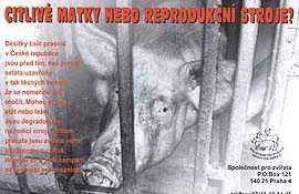 Plak�t ke kampa�i /9,7kB