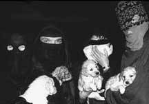  Skupina alfist� /4,7kB