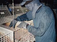 Osvobozovac� akce /8,4kB/