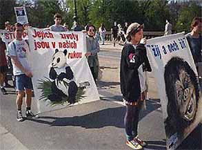 Pochod za pr�va zv��at v Praze - 1995 /24kB/