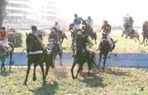 Velk� Pardubick� /6,8kB/ 22,5kB(514x360)