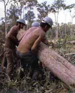 K�cen� prales� /7,1kB/16kB