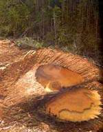 D�sledky... /6,4kB/15kB