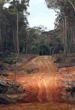 D�sledky... /6,6kB