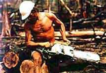 K�cen� prales� /7,3kB/