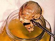 Potrat /7,1kB /17,5kB