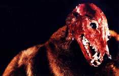 Bez ko��ku!/5,7kB /19,5kB (587x377)