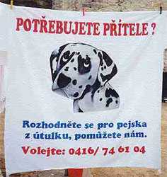 Transparent se psem /11kB