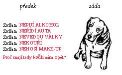 Zv��ata nepij�... /9kB