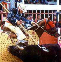 Pikador v akci/11,7kB