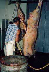 Jatka /7,3kB /13,8kb