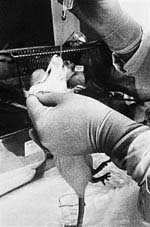 Aplikace l�tky /6,1kB